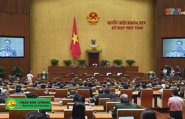 Thời sự chiều 27-11-2019