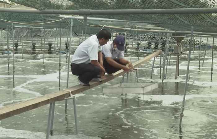 Thời sự chiều (30-07-2022)