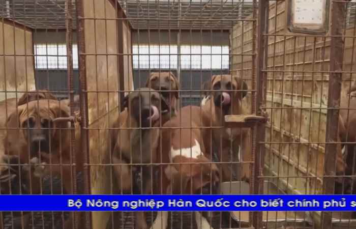 Thời sự tiếng Khmer (01-10-2024)