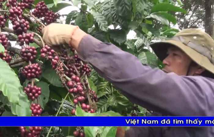 Thời sự tiếng Khmer (06-10-2021)