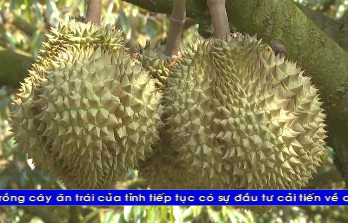 Thời sự tiếng Khmer (09-02-2025)