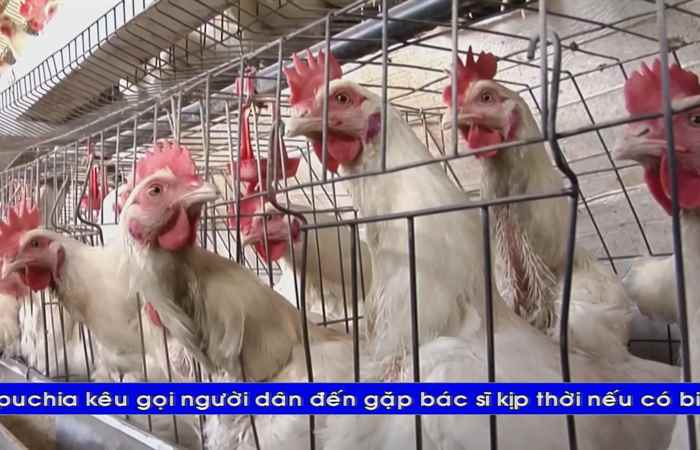 Thời sự tiếng Khmer (11-01-2025)