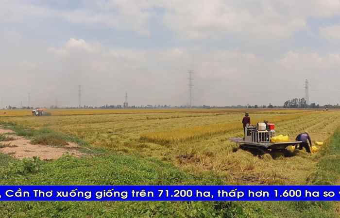 Thời sự tiếng Khmer (11-06-2024)