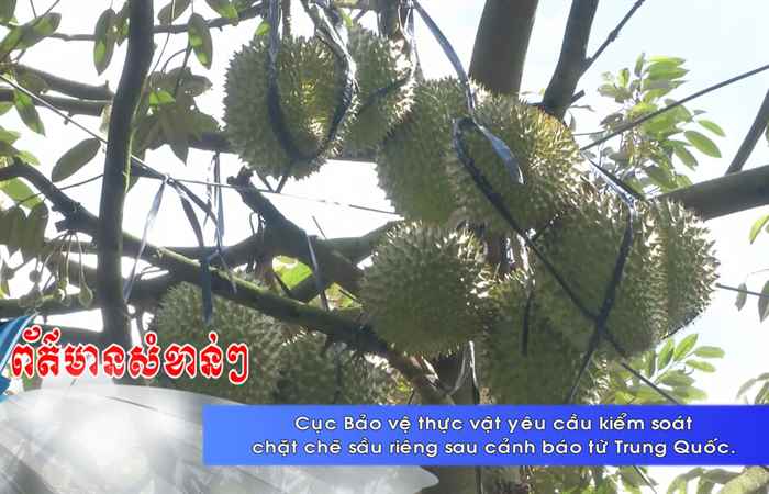 Thời sự tiếng Khmer (12-01-2025)