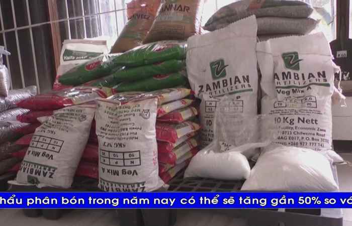 Thời sự tiếng Khmer (12-11-2022)