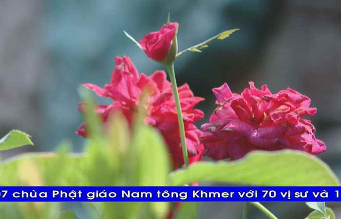 Thời sự tiếng Khmer (13-06-2024)