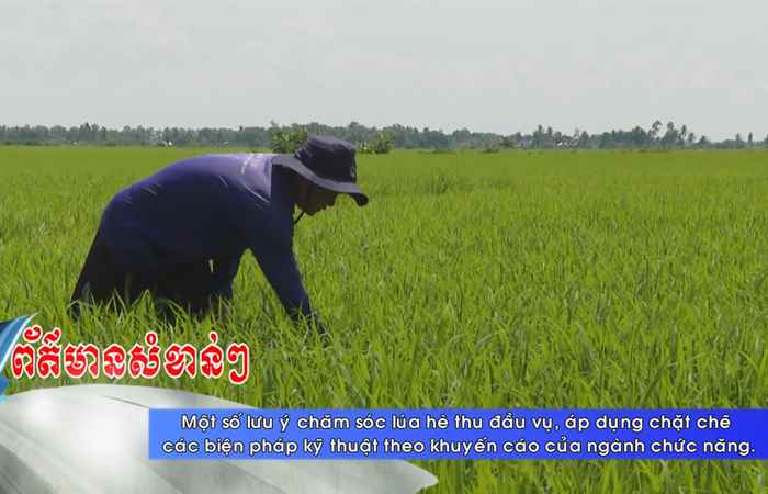 Thời sự tiếng Khmer (13-07-2023)