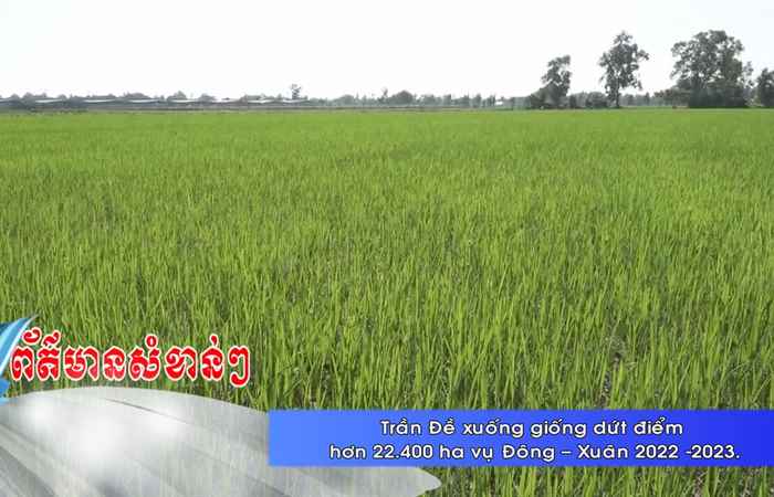 Thời sự tiếng Khmer (13-11-2022)