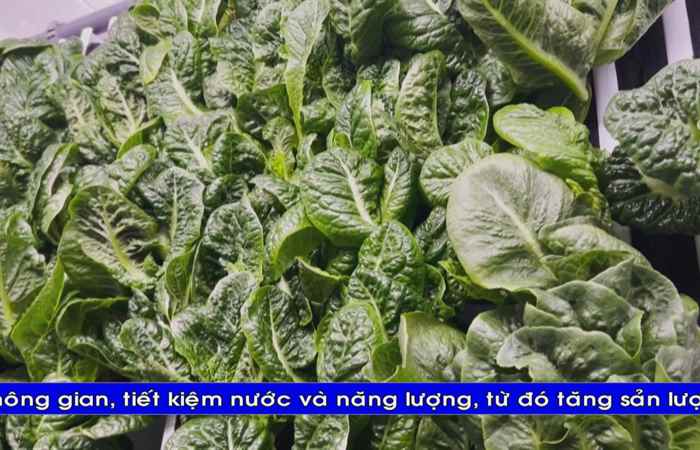  Thời sự tiếng Khmer (14-09-2022)