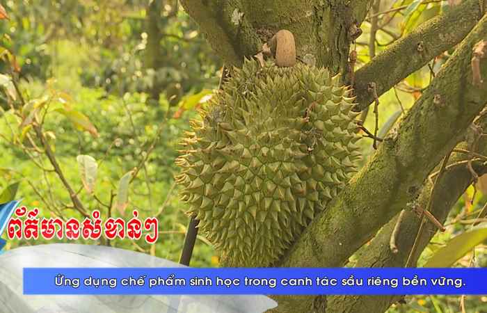 Thời sự tiếng Khmer (16-03-2025)