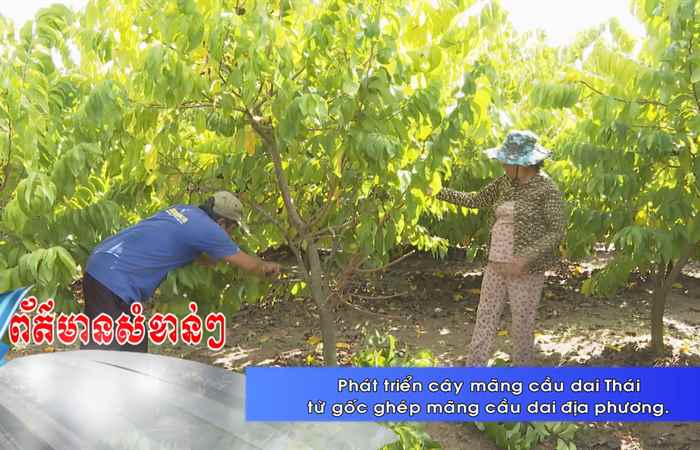Thời sự tiếng Khmer (16-06-2024)