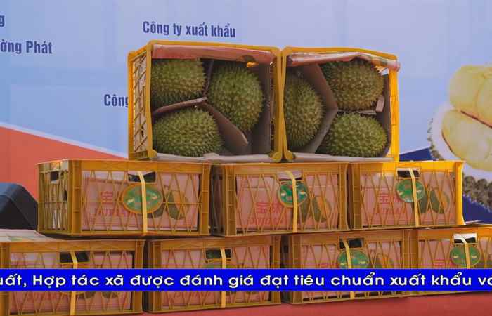  Thời sự tiếng Khmer (17-03-2023)