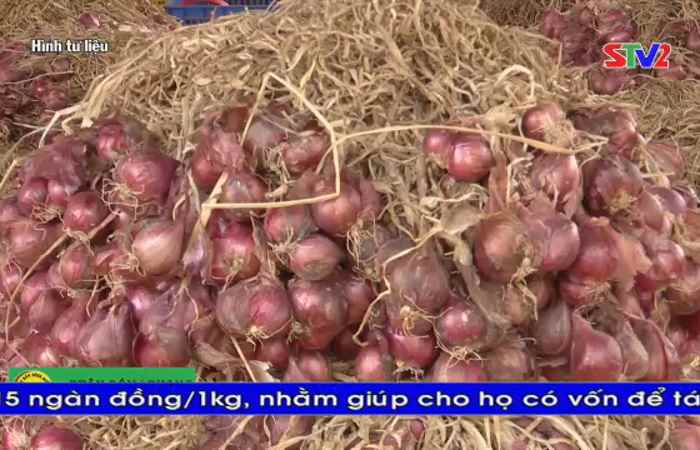 Thời sự tiếng Khmer (17-06-2021)
