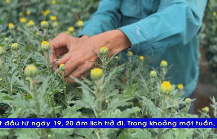 Thời sự tiếng Khmer (18-01-2025)