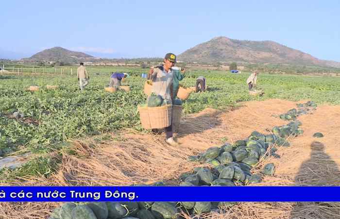 Thời sự tiếng Khmer (18-02-2023)