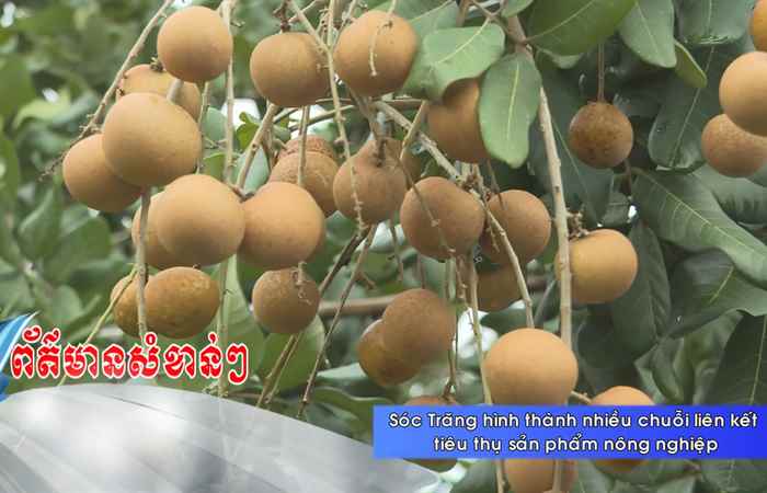 Thời sự tiếng Khmer (21-08-2023)