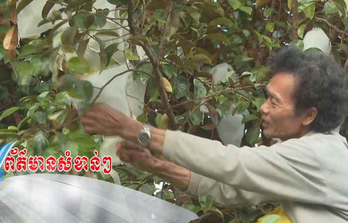 Thời sự tiếng Khmer (25-01-2023)