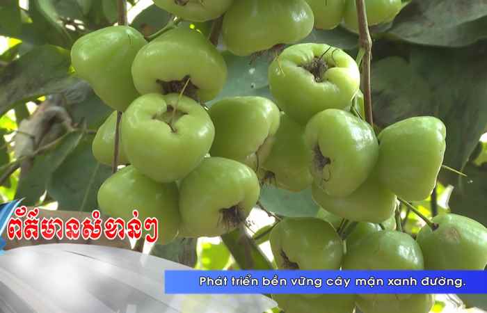 Thời sự tiếng Khmer (26-05-2024)