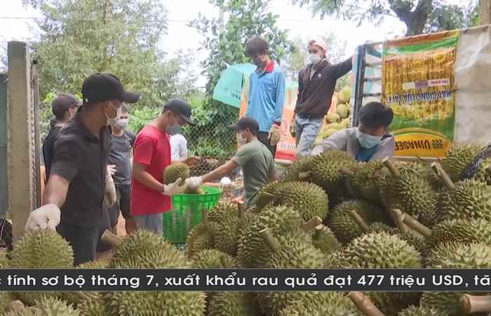 Thời sự tiếng Khmer (26-07-2024)