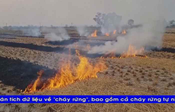 Thời sự tiếng Khmer (28-11-2024)