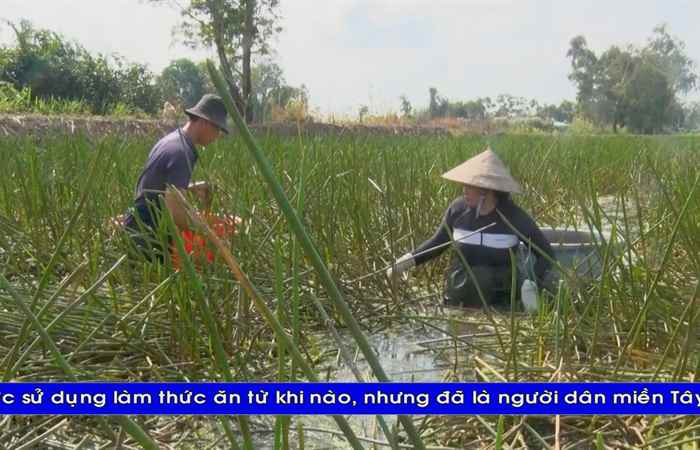 Thời sự tiếng Khmer (29-03-2025)