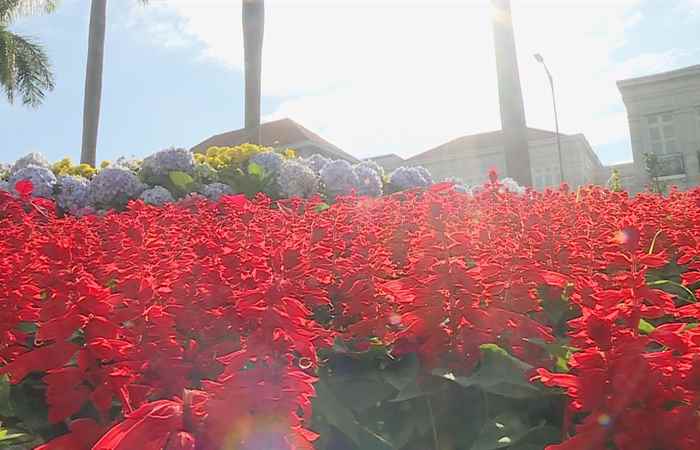  Thời sự trưa (01-02-2023)