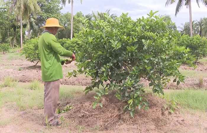 Thời sự trưa (01-12-2024)
