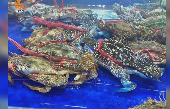 Thời sự trưa (03-05-2022)