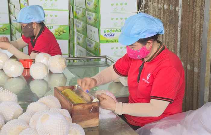 Thời sự trưa (03-09-2024)