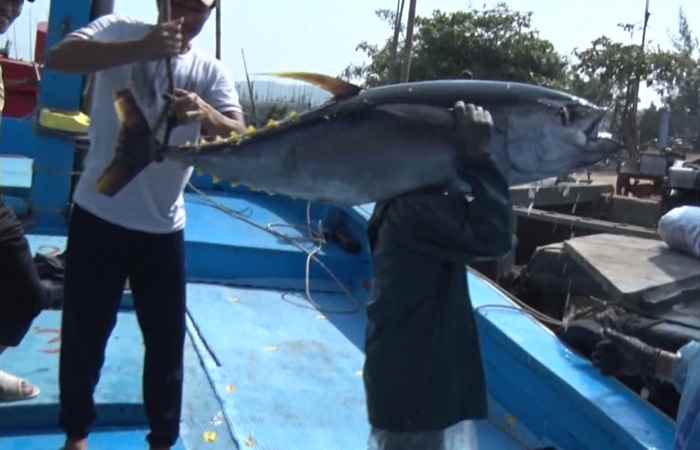 Thời sự trưa 03-11-2019