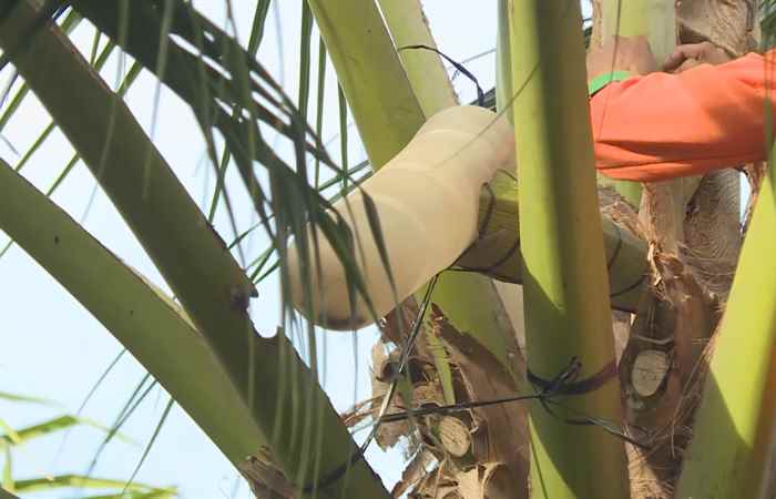 Thời sự trưa (03-12-2023)