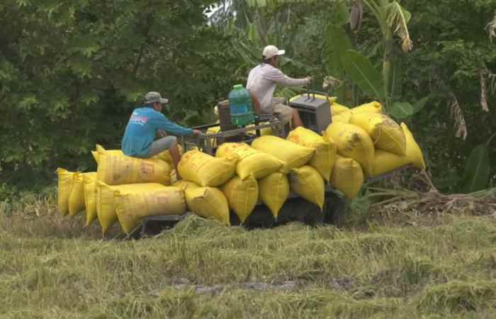 Thời sự trưa (04-01-2022)