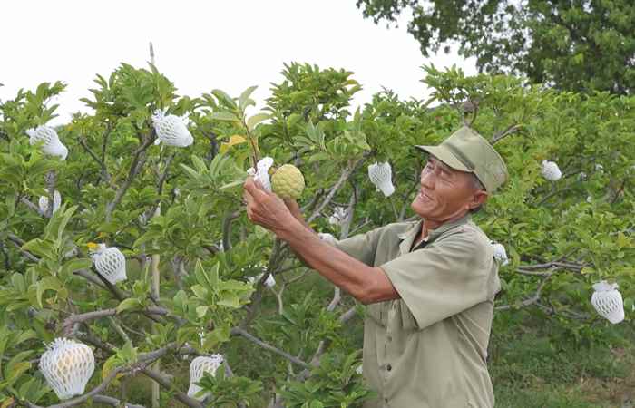 Thời sự trưa (04-06-2024)