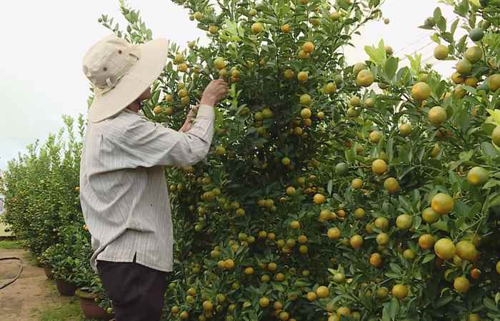 Thời sự trưa (04-12-2022)