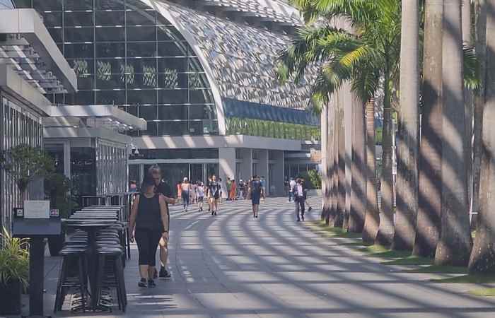 Thời sự trưa (04-12-2023)
