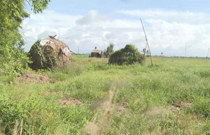  Thời sự trưa (05-02-2022)