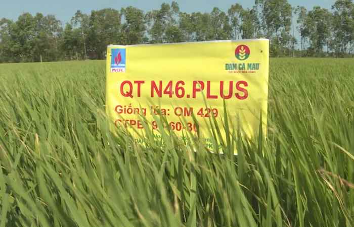 Thời sự trưa 05-03-2020