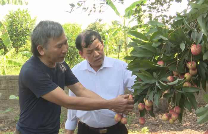  Thời sự trưa (05-06-2023)