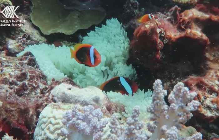 Thời sự trưa (05-08-2022)