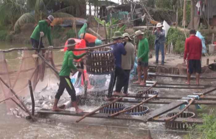 Thời sự trưa (05-11-2019)