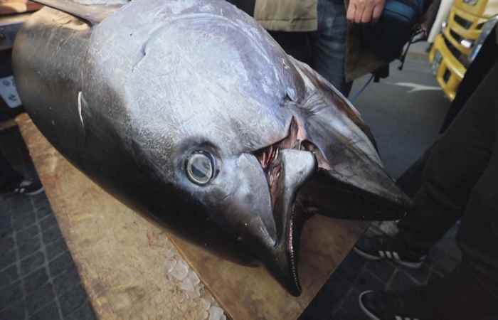  Thời sự trưa (06-01-2022)