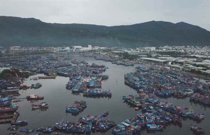 Thời sự trưa (06-11-2019)