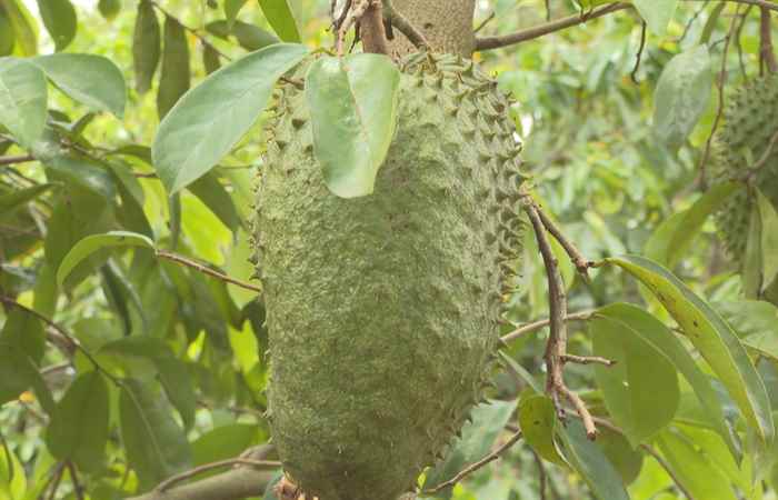  Thời sự trưa (07-02-2022)