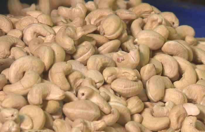 Thời sự trưa 07-04-2019