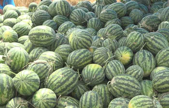 Thời sự trưa (07-04-2021)