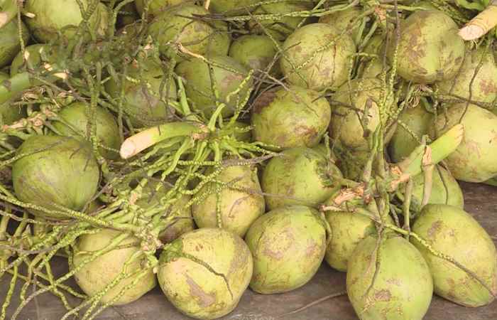 Thời sự trưa (07-09-2023)
