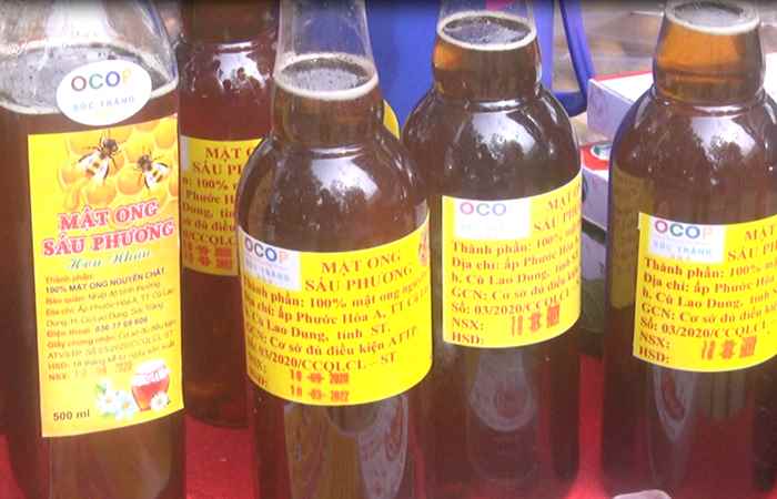 Thời sự trưa 07-11-2020