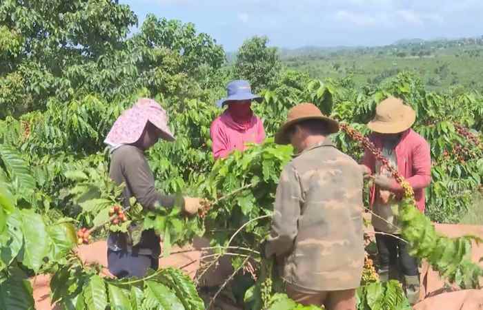 Thời sự trưa (07-12-2024)