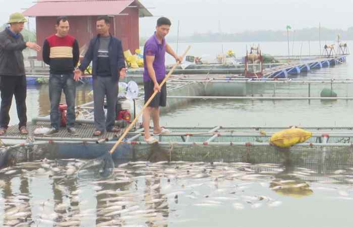 Thời sự trưa 08-03-2020