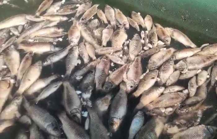 Thời sự trưa (08-04-2021)